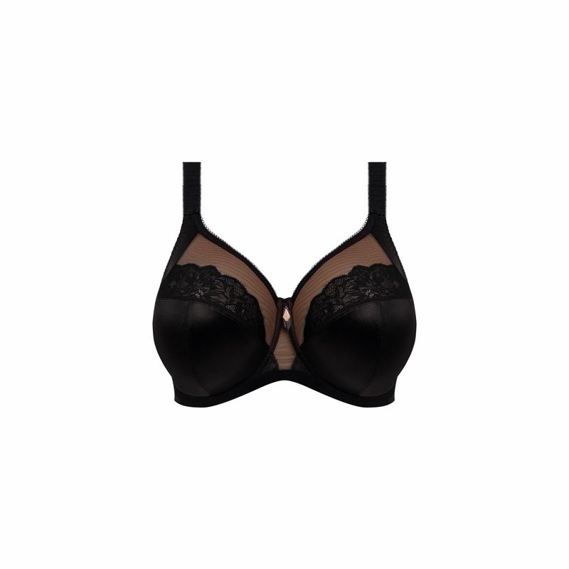 Elomi BH Cate Allure Black