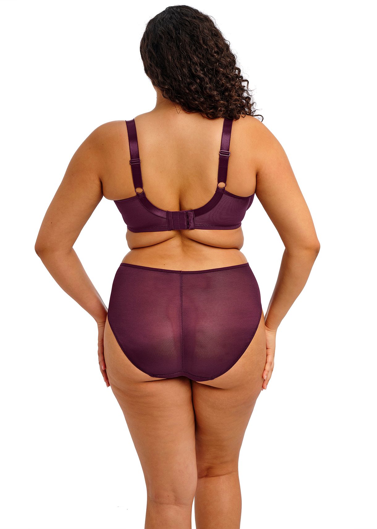 Elomi Kintai Full Brief - Paars