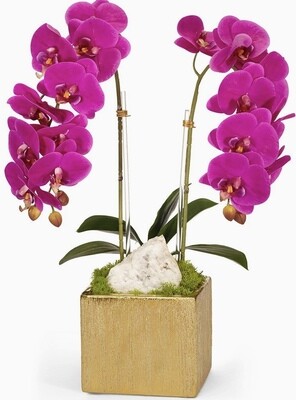 Double Orchid Pink in Gold Planter