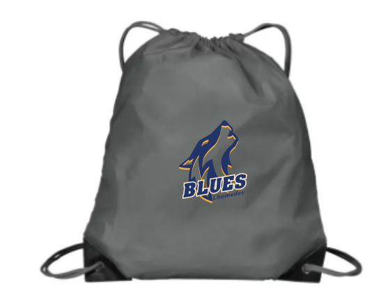 Sac à soulier