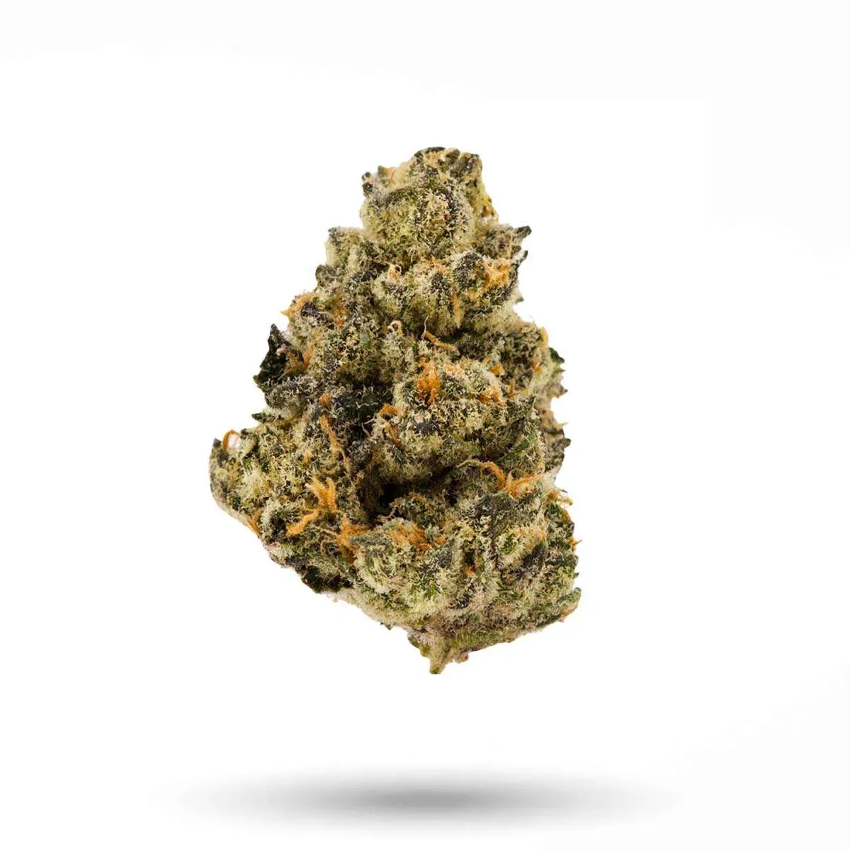 Strawberry Gelato (Hybrid)