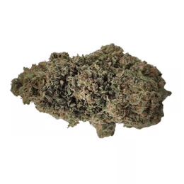 Banana Jelly (Hybrid)