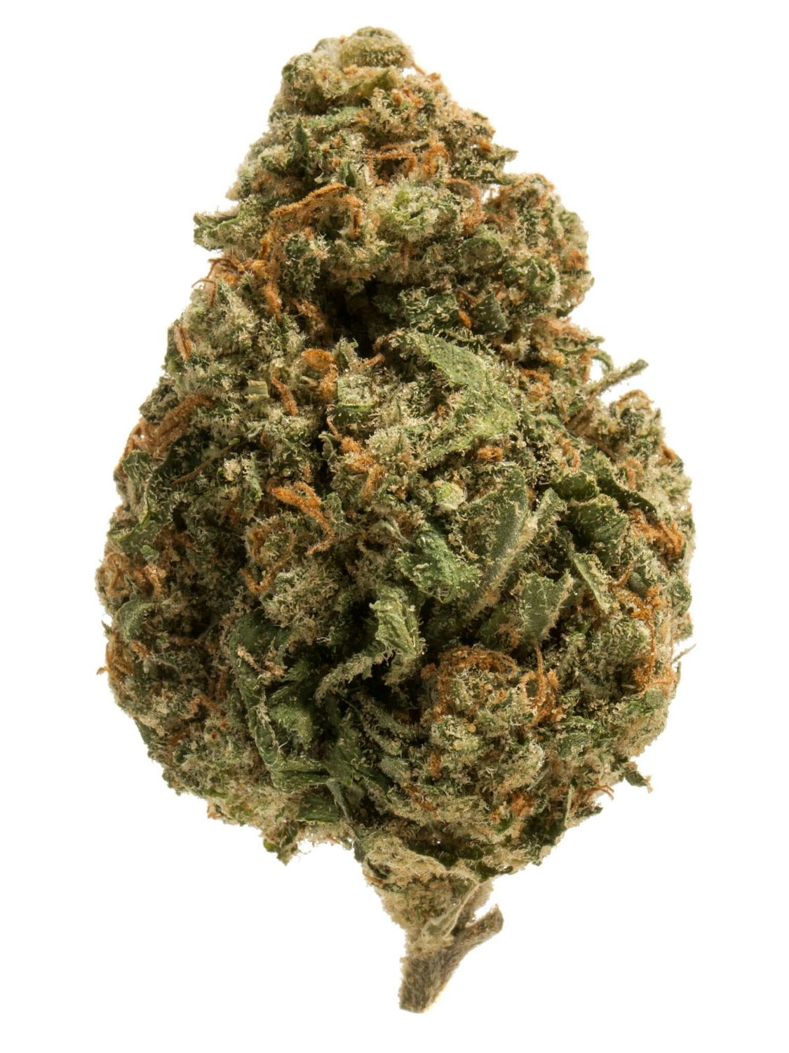 Cherry Mojito (Sativa/Hybrid)