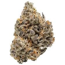 Sour Blood (Hybrid)