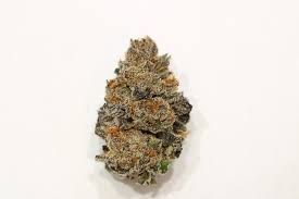 Rainbow Zollipops (Sativa/Hybrid)