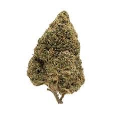Zoap (Hybrid)