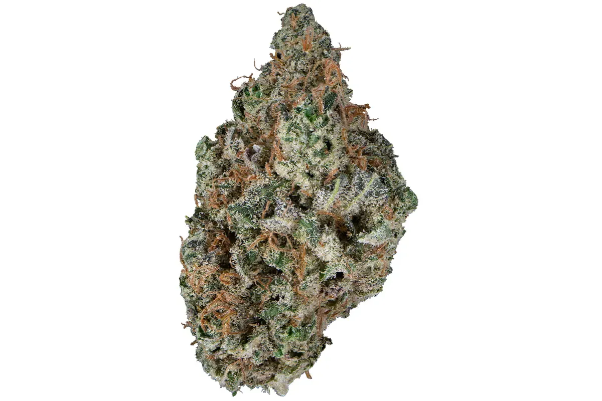 Blueberry (Indica)