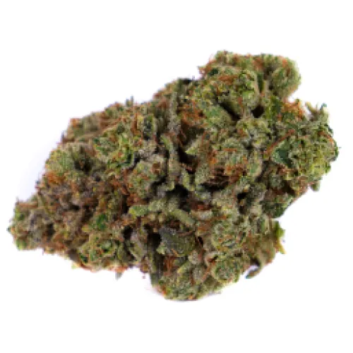 Sour Berry (Sativa Hybrid)
