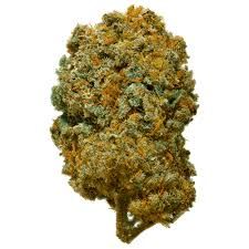 Blueberry Sherbert (Hybrid)