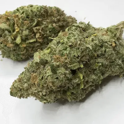Crunch Berries (Hybrid)