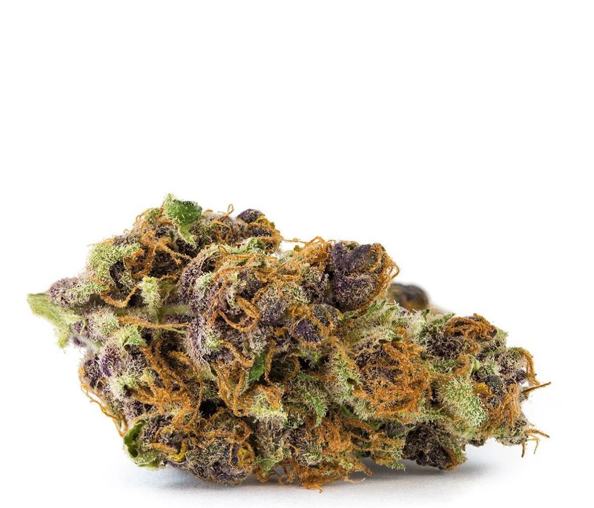 P-Rex (Indica/Hybrid)