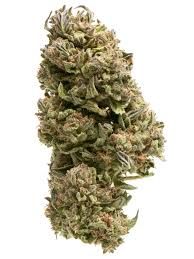 Blue Cocktail (Hybrid)