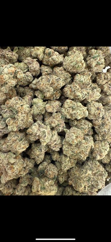 P-Rex (Indica/Hybrid)