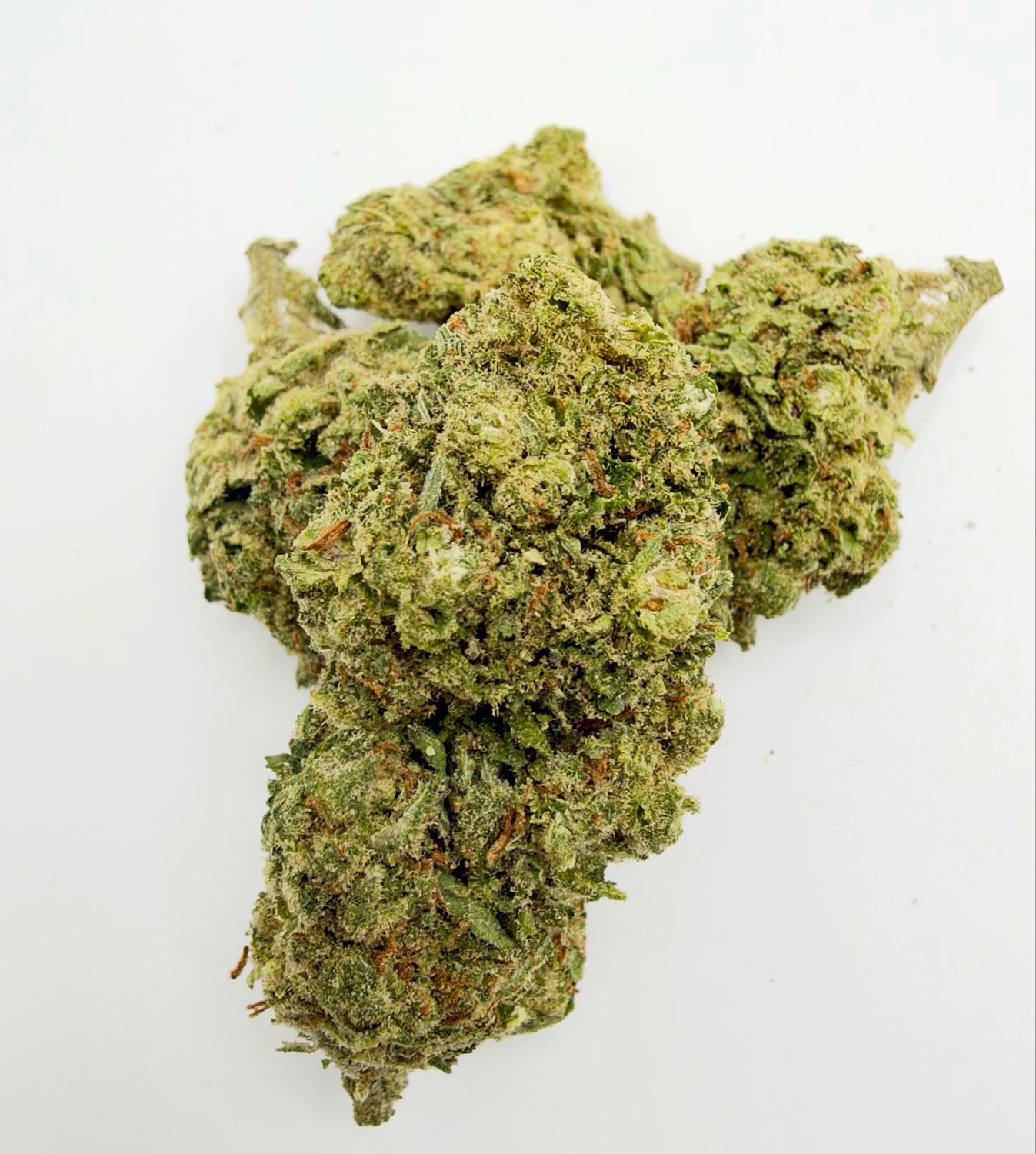 Jacky White (Sativa Hybrid)