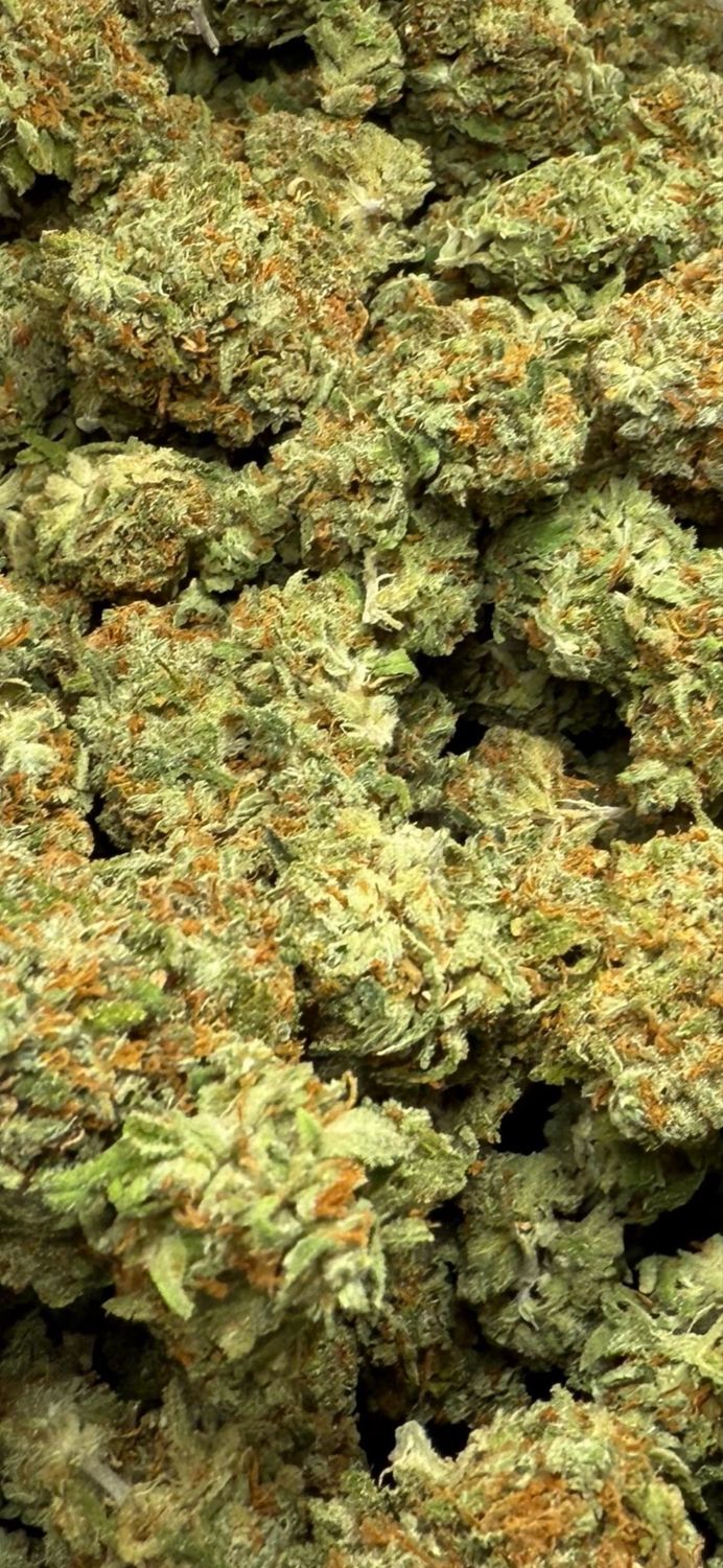 Green Crack (Sativa)