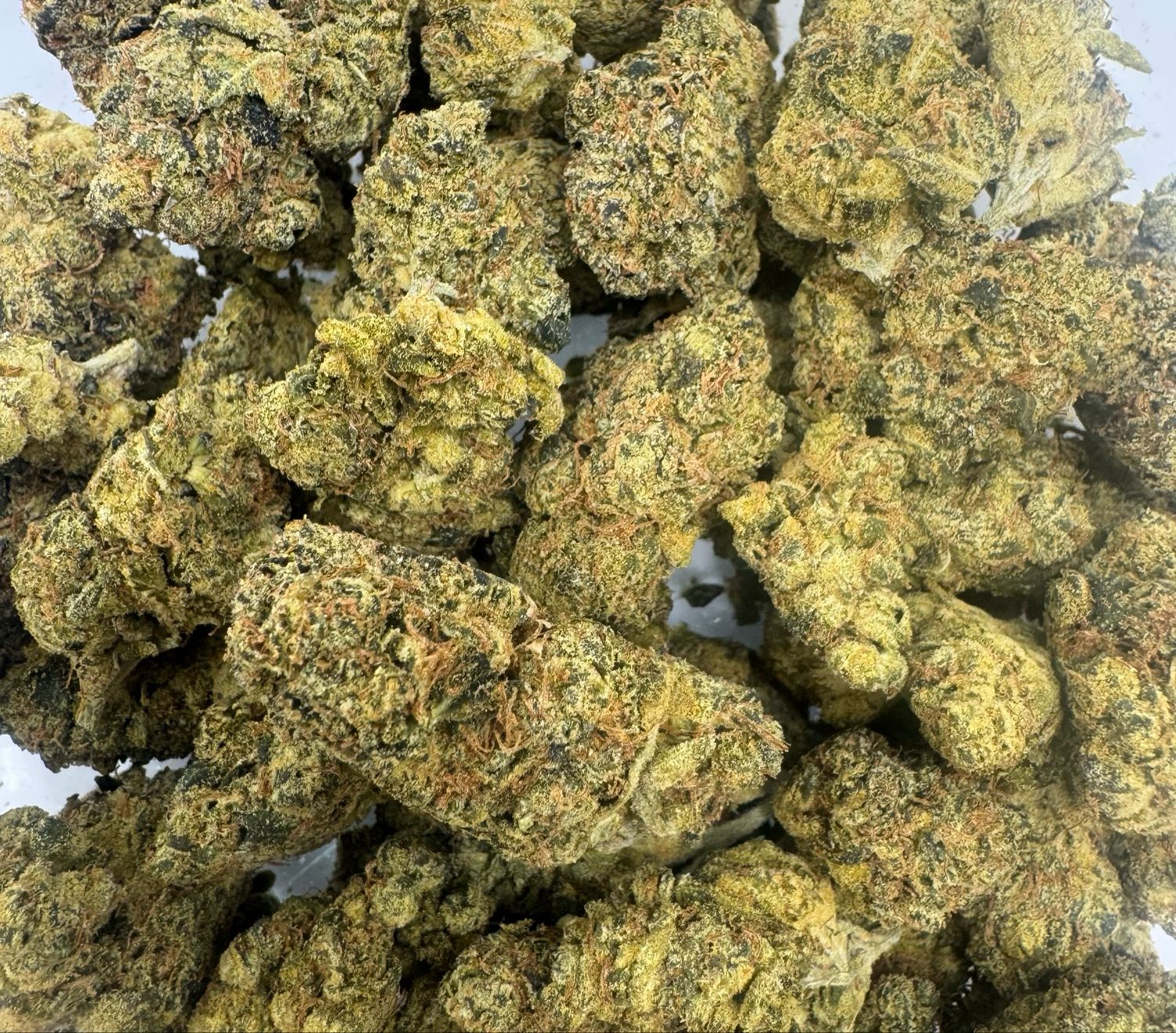 Simply Sour (hybrid)