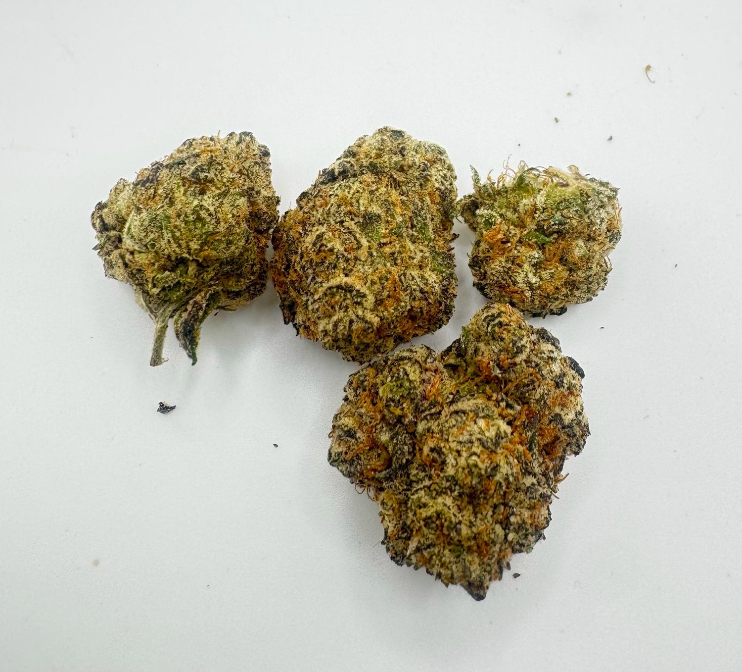 Poison Gushers (Indica) 🔥By The Healers Club🔥