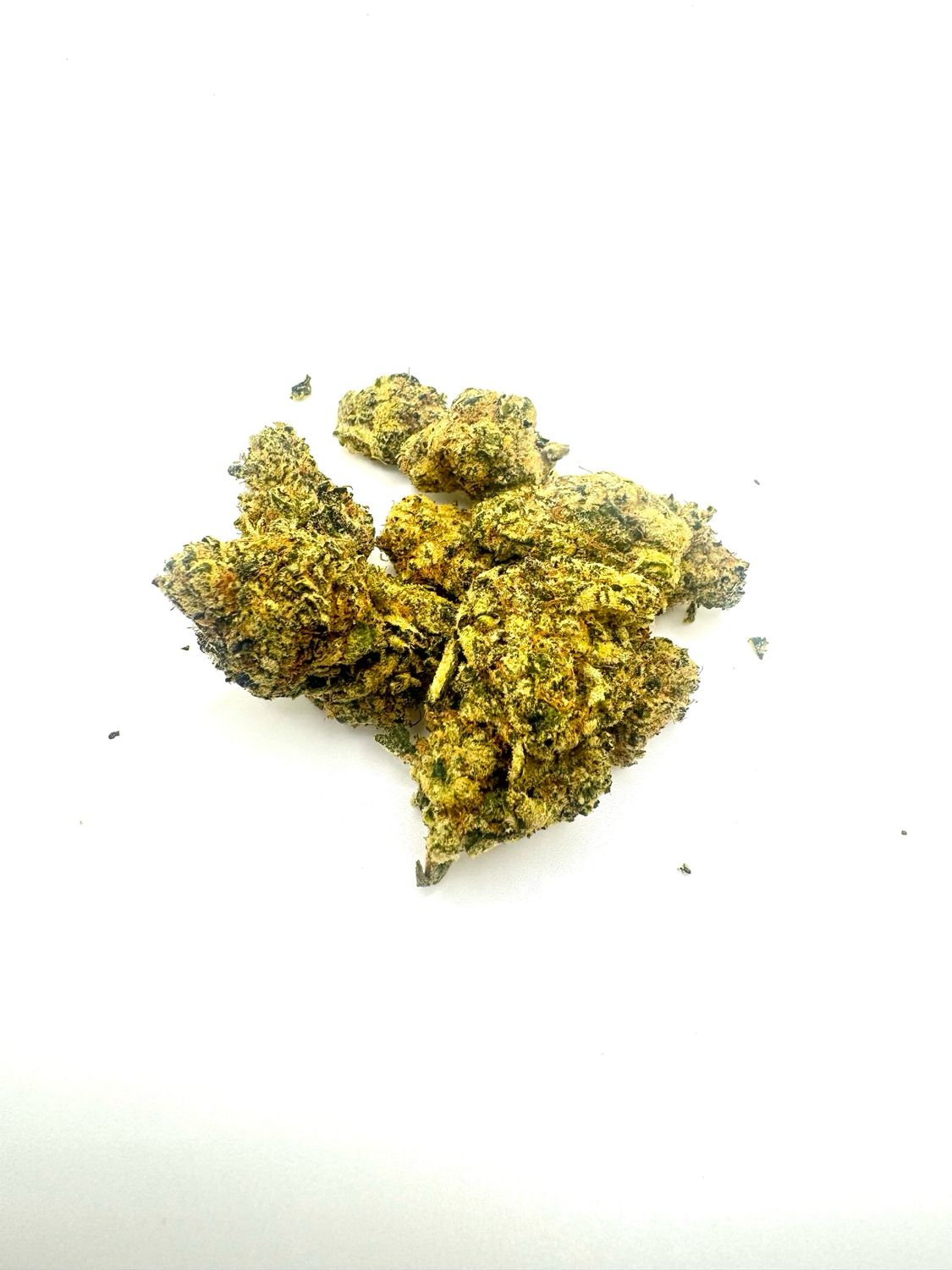 LA Pop Rocks (Hybrid)