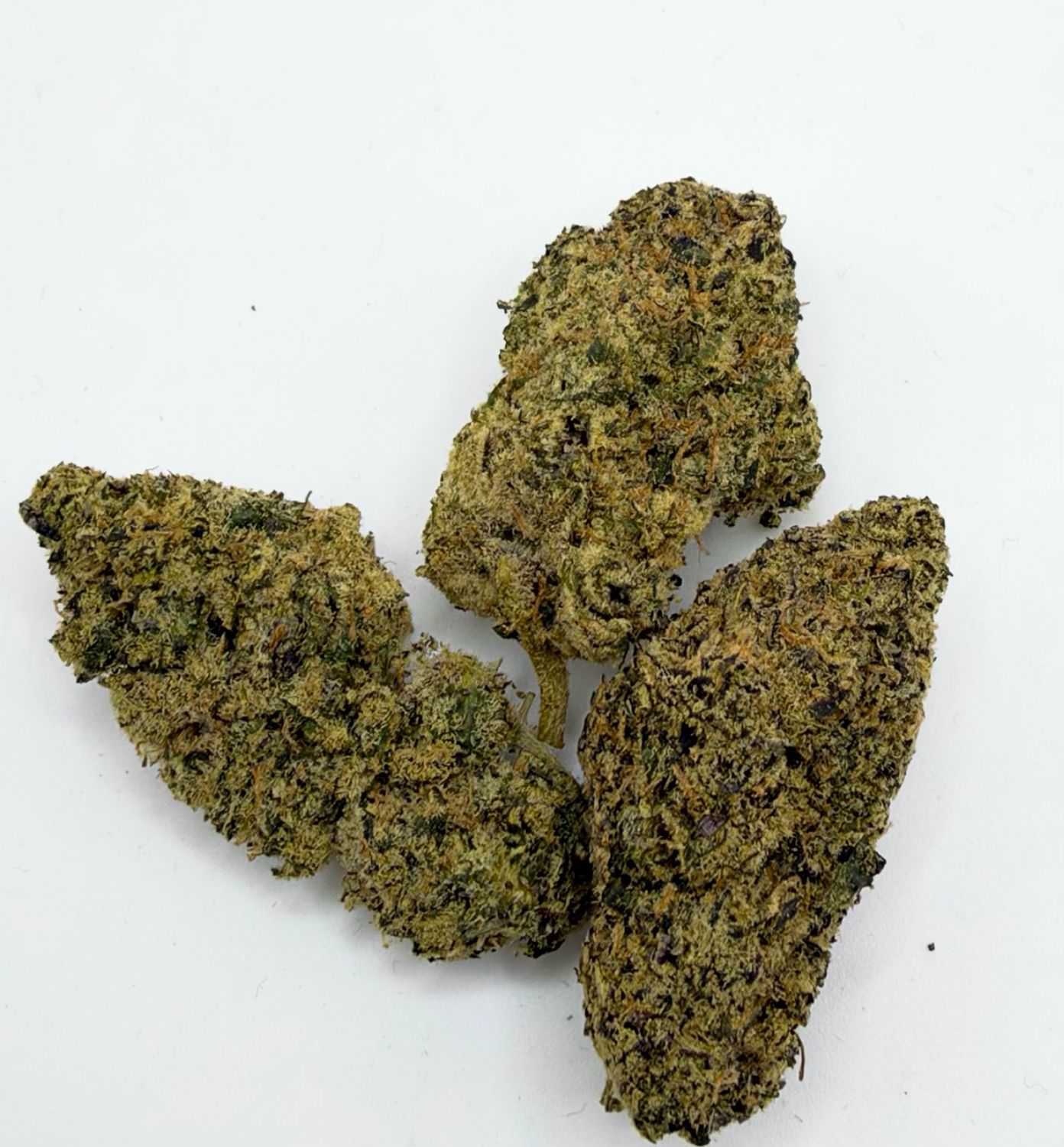 Blueberry Sugar (Hybrid)