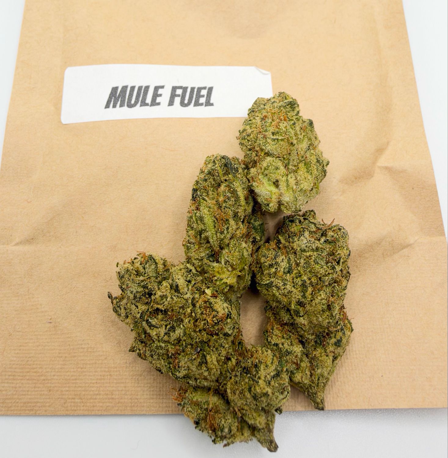 Muel Fuel (Indica hybrid)