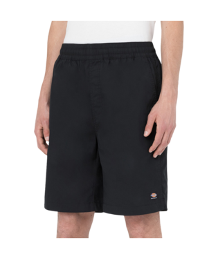 Dickies Skateboarding Grants Pass Relaxed Fit 9&quot; Shorts