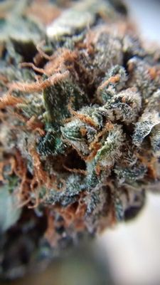 Buy Sour Diesel Marijuana Strain