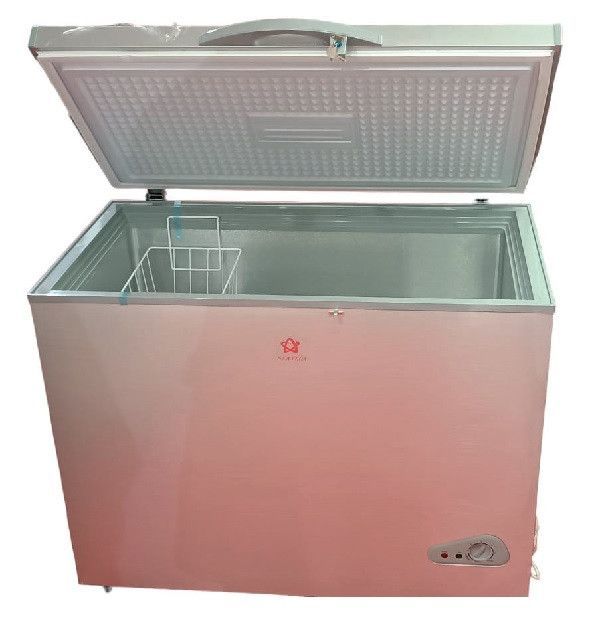 Congelatore STAYLUX a pozzetto 291 Lt classe E colore Silver BD-300