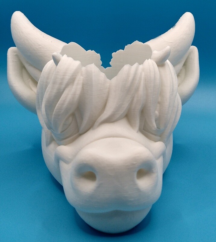 Highland Cow
