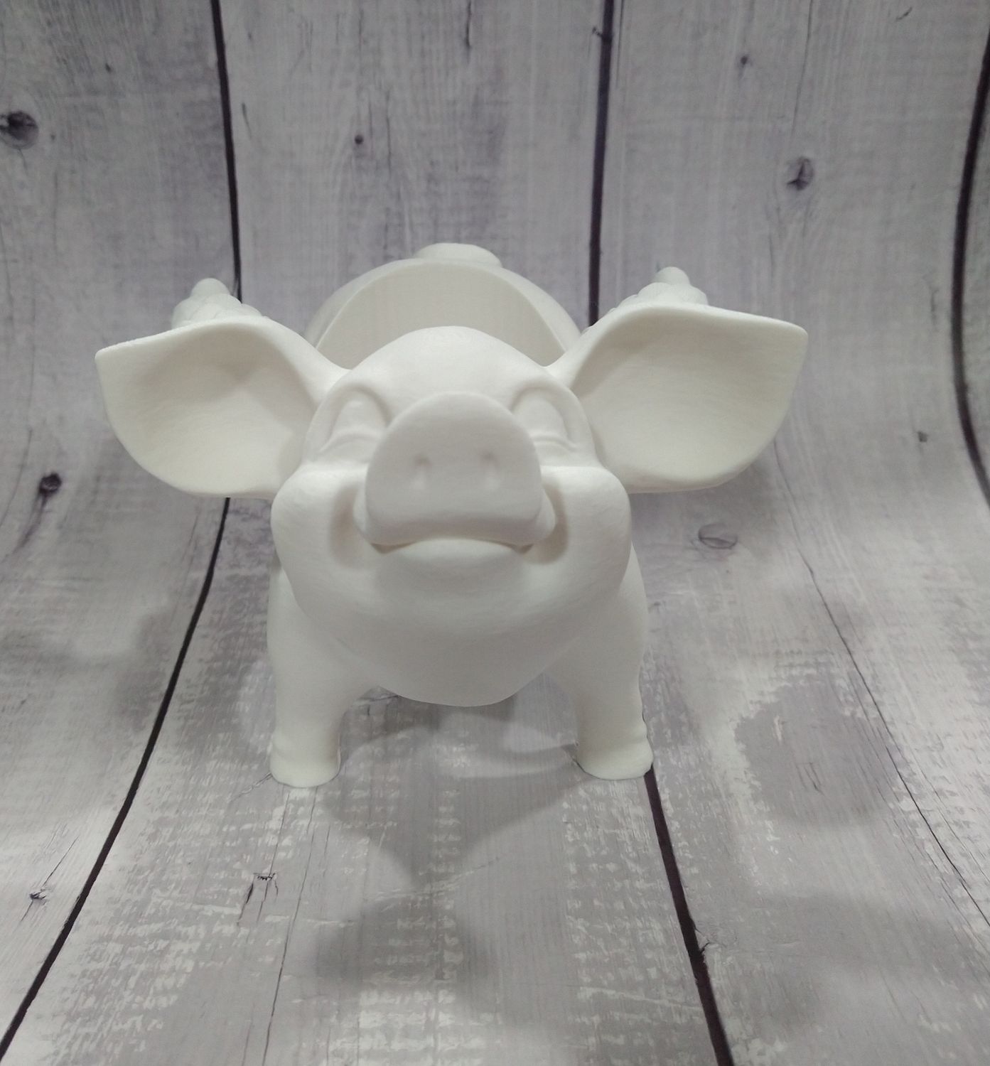Pigs Fly