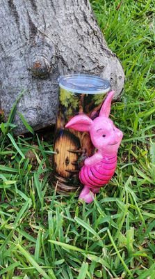 Piglet