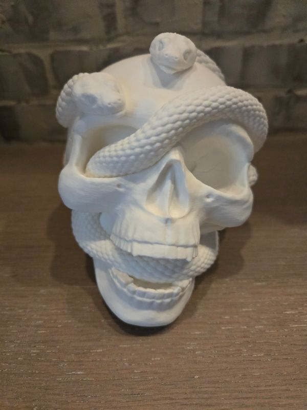 Skull with Snakes