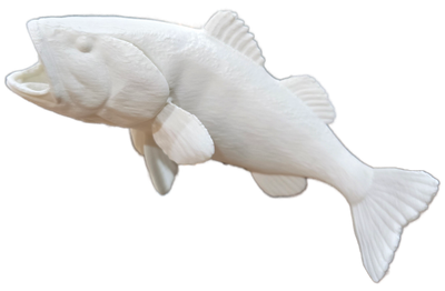 Fish Bass