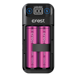 EFEST 2 BAY CHARGER