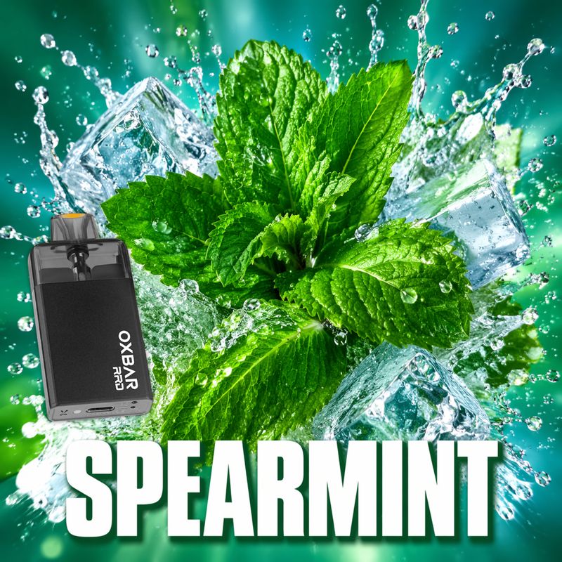 OXBAR DISPOSABLE RRD SPEARMINT