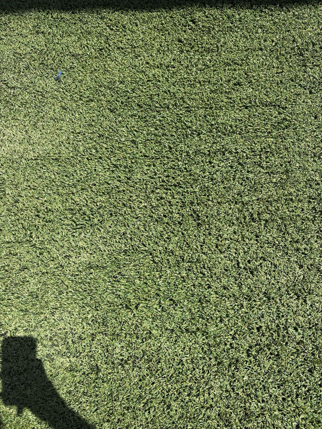 Pradera
