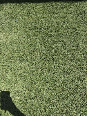 Pradera