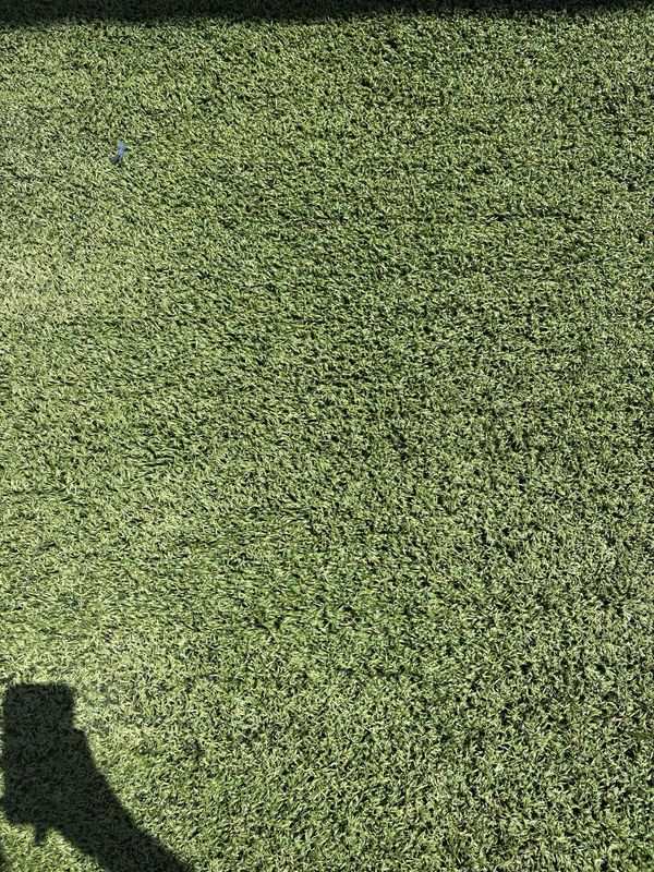 Pradera
