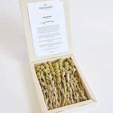 The Classic Box
