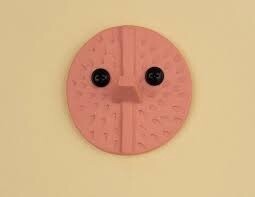 Nosy Pink - Wall Hook