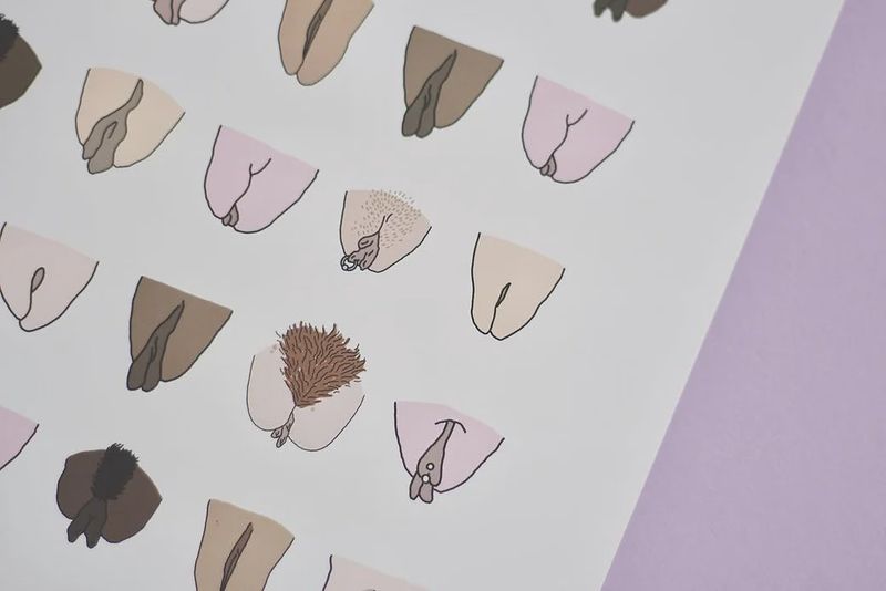 Vulva print A4