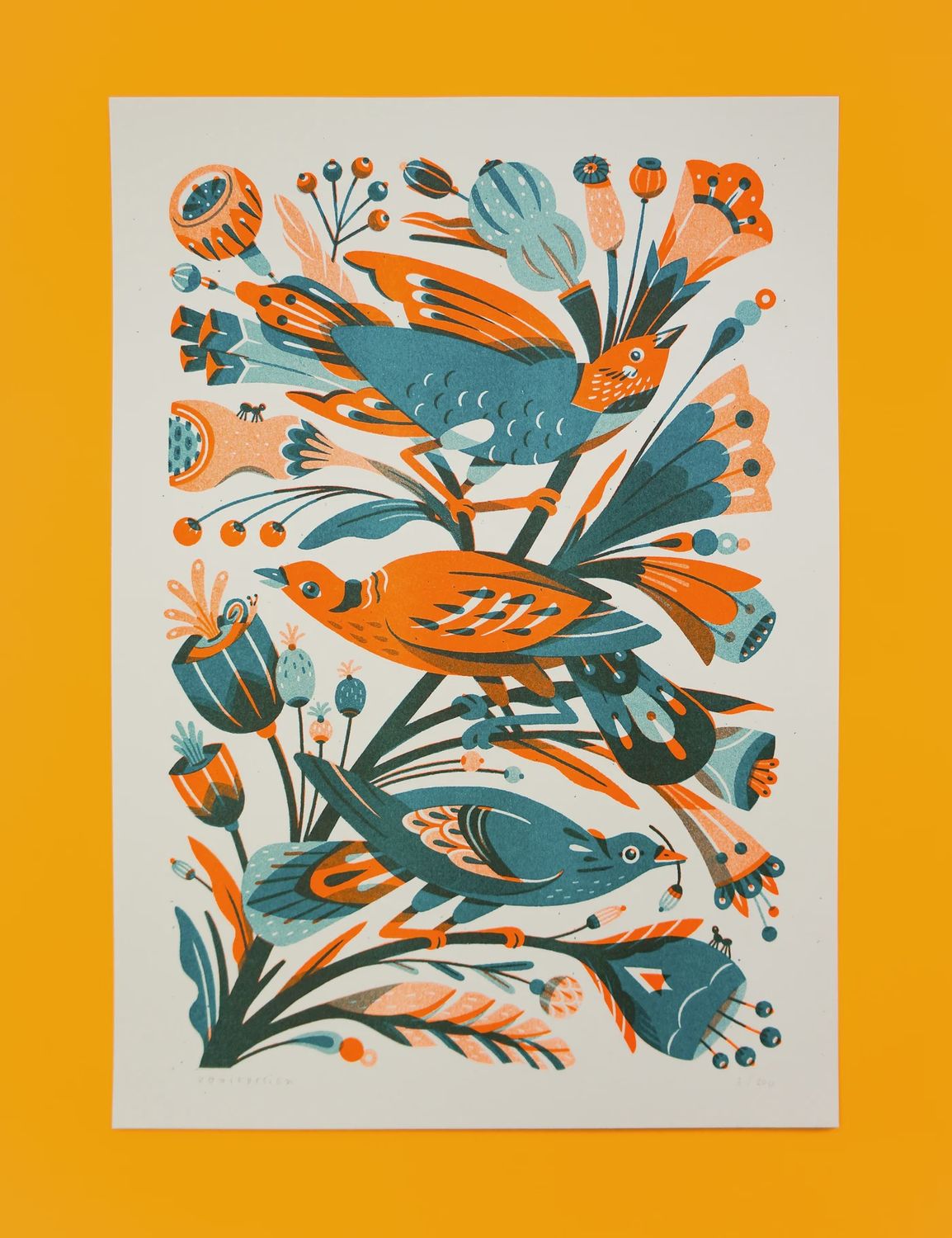 Garden Birds - Risoprint A3