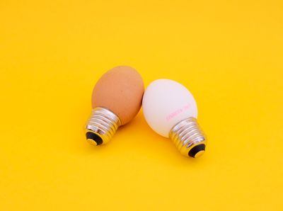 Egglamp