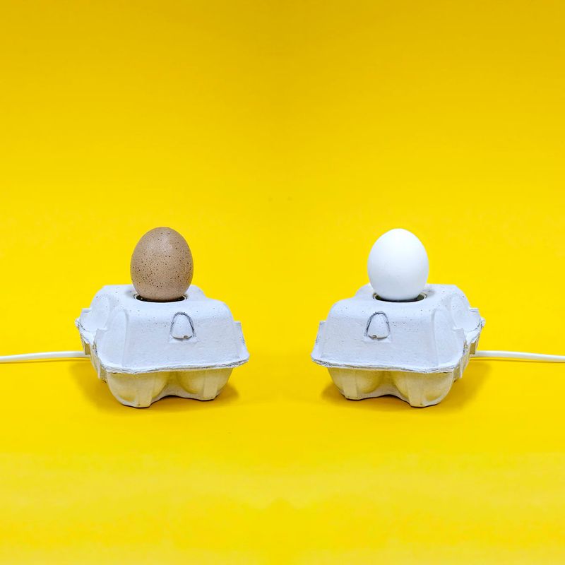 Egglamp