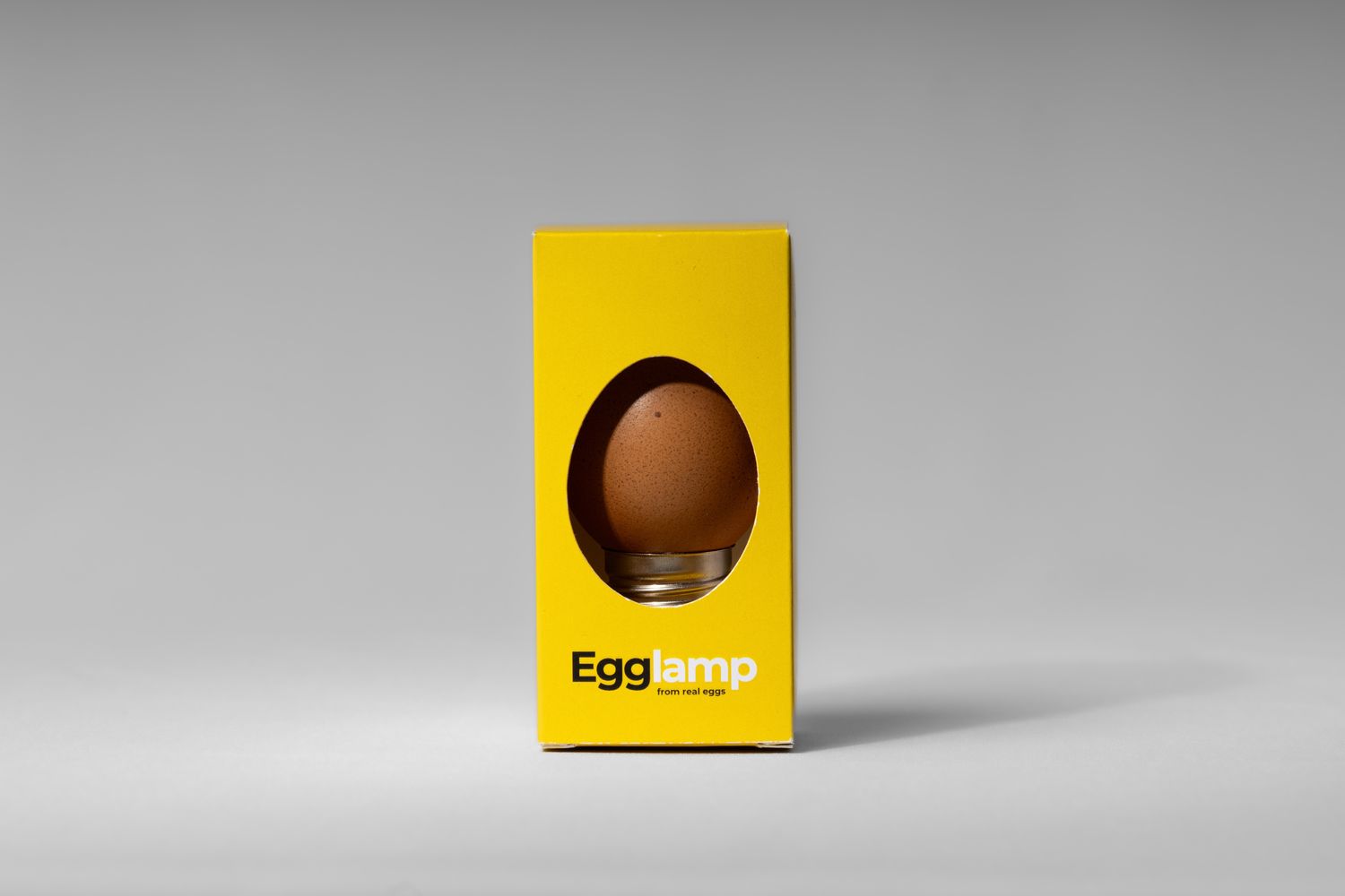 Egglamp, Color: Brown