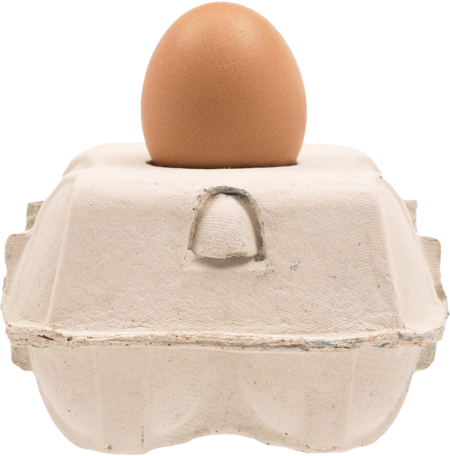 Eggbox lamp base, Color: White