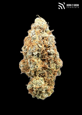 Blue Cheese