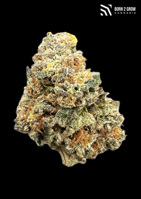Lemon Tree 🍋🌳