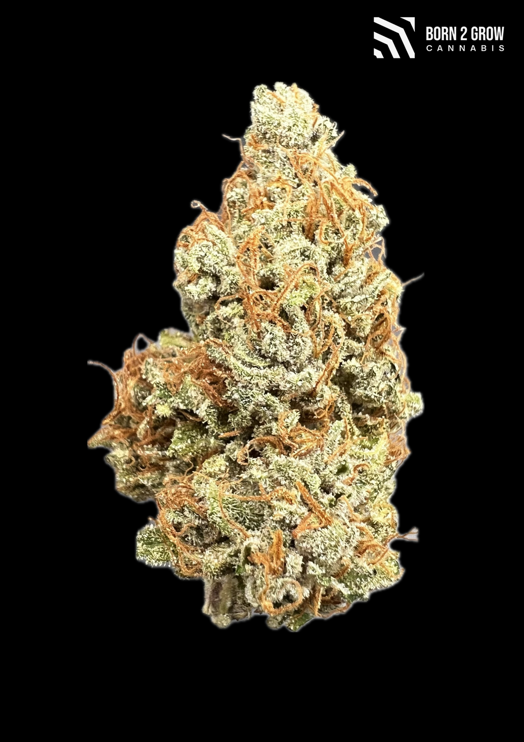 Lemon Citron
