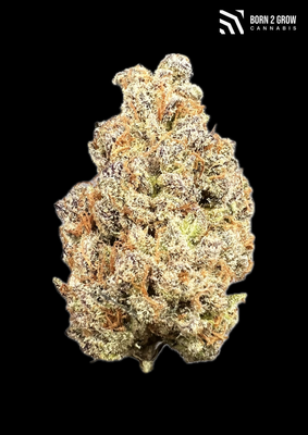 High Society from Compound Genetics