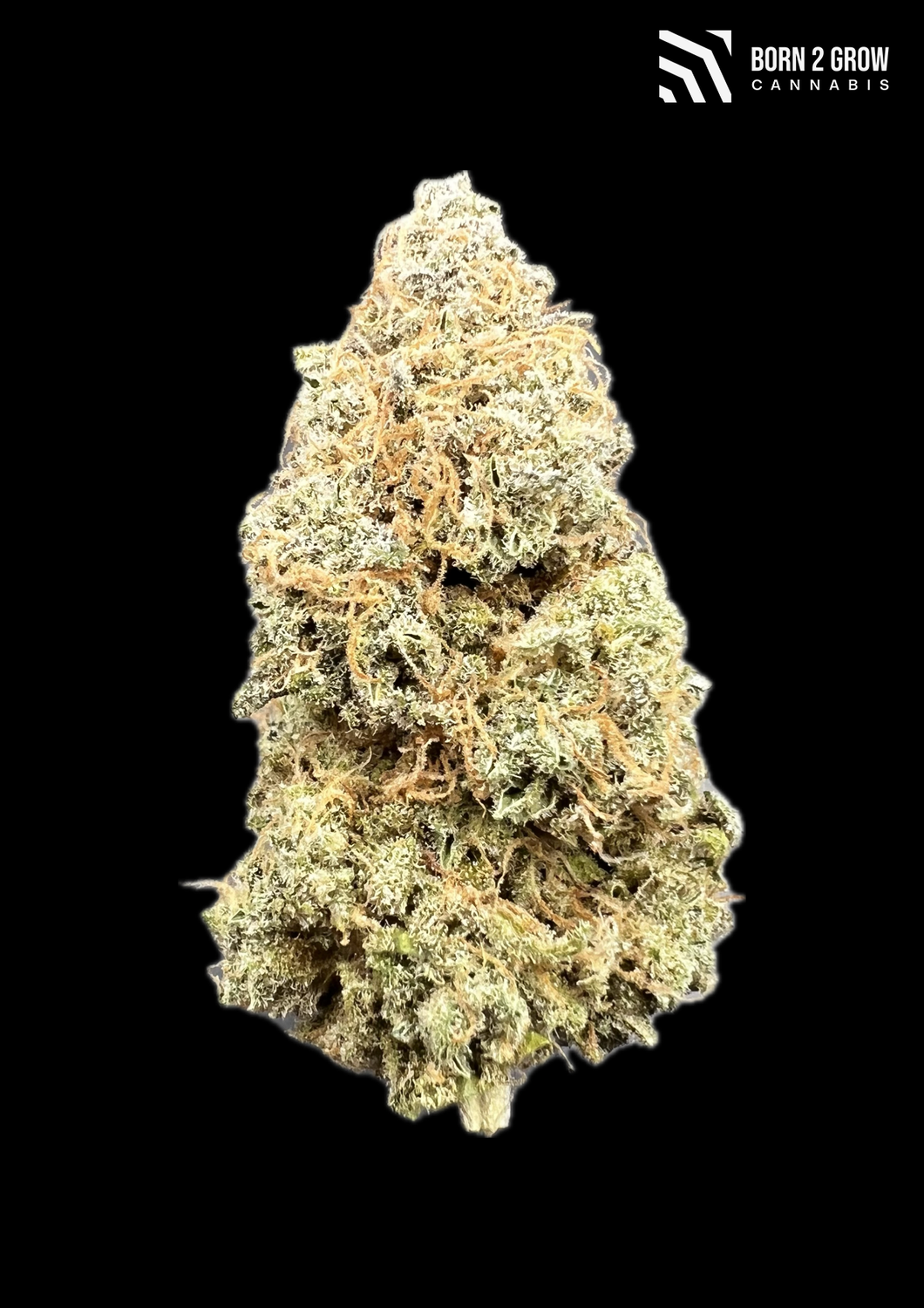 Triple G ( Gelato x Gorilla Glue )